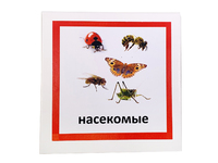 Трехчастные карточки «Насекомые»