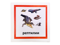 Трехчастные карточки «Рептилии»