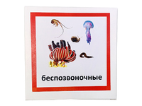 Трехчастные карточки «Беспозвоночные»