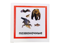 Трехчастные карточки «Позвоночные»