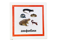Трехчастные карточки «Амфибии»