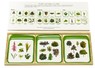 Жизненные формы растений