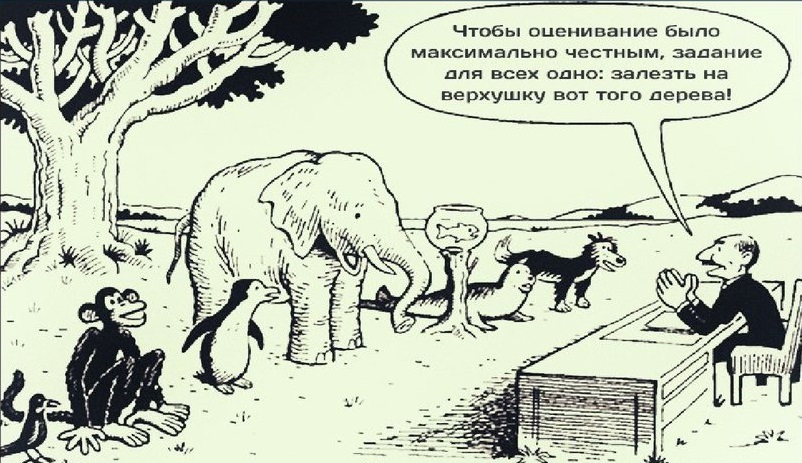 Монтессори-среда