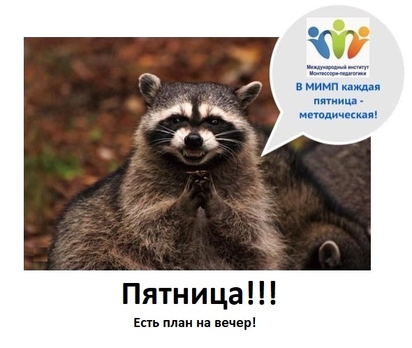 Методическая пятница в МИМП