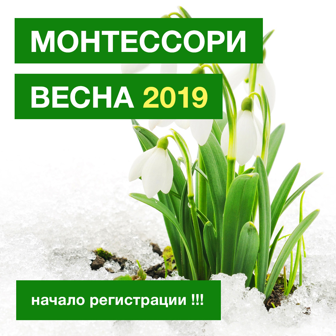МИМП Весна